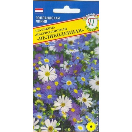 Купить Семена Брахикома "Великолепная" 0,05 гр, Престиж в питомнике ...